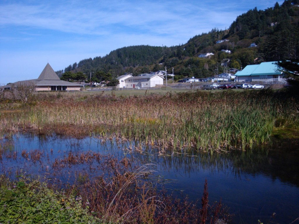 Figure 3. The Yachats Baseball Field -- the view from center field.