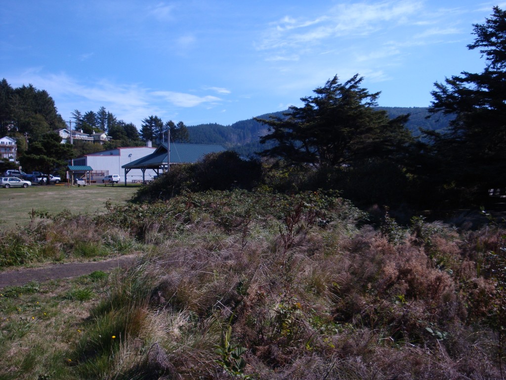 Figure 2. Picnic shelter as seen by center fielder.