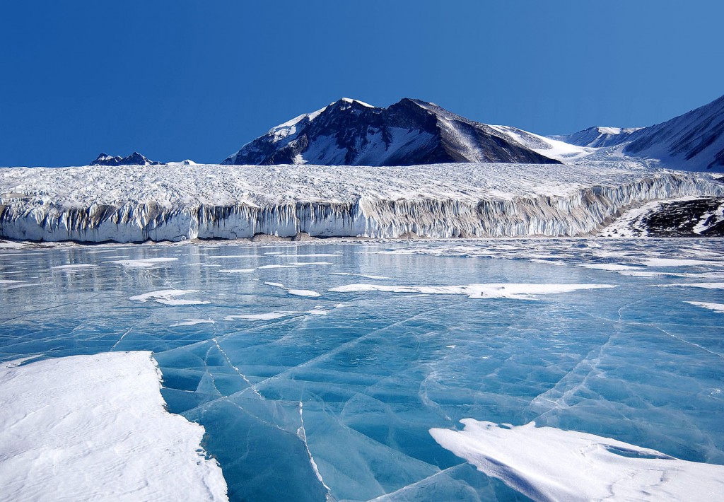 Figure 3. Photo of Antarctic cannibals hiding in ambush behind a glacier. How many can you spot?