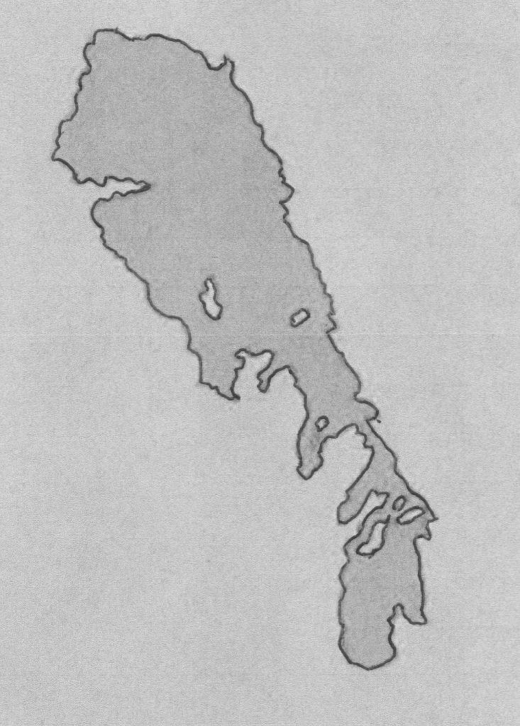 Figure 1. Aerial view of Lake Winnipeg. Notice how you can’t tell how shallow it is.