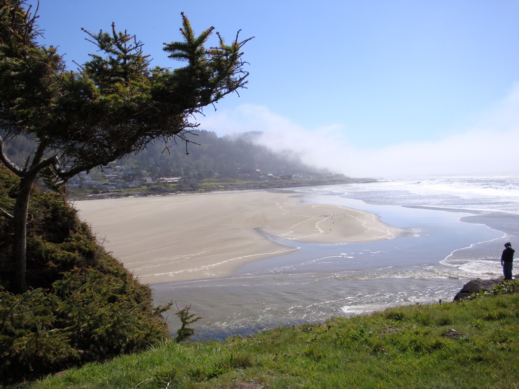 Figure 1. Yachats State Park, where Constance is meeting Margarita.
