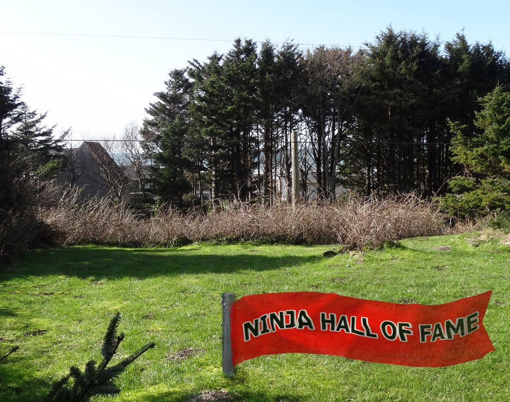 Figure 2. The Yachats Ninja Hall of Fame. A popular tourist attraction. And, why can’t you see Macho Mole in this photo? It’s because he’s a ninja!