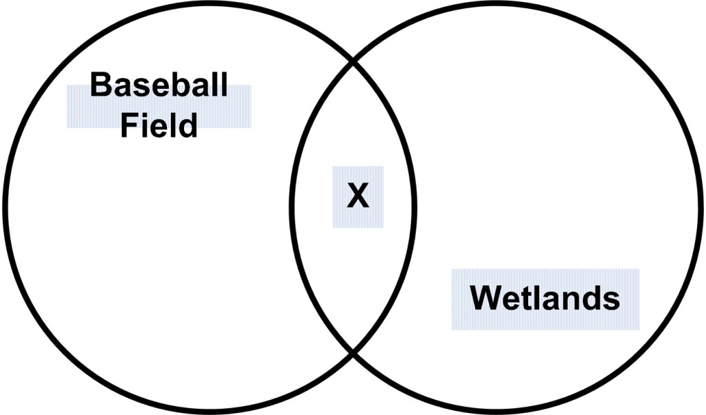 Figure 1. Intersection (X) of the Rubbery Shrubbery playing field and the Yachats wetlands.